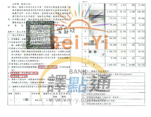 更生認可/台南吳小姐